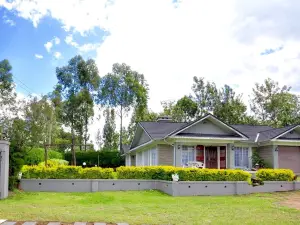 Lamanis Haven
