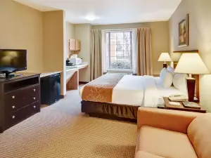 Comfort Suites Roanoke - Fort Worth North