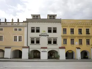 Hotel U Zlatého Kohouta