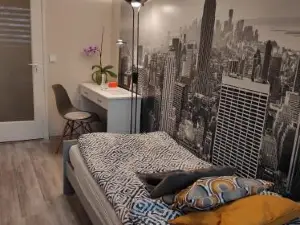 Baross apartman