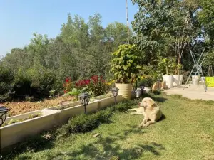 An's home homestay
