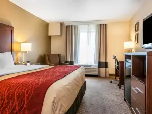 Comfort Inn