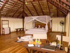 Yala Safari Camping
