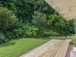 基拉韋阿尼尼綠洲