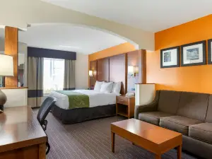 Comfort Suites Stevensville - St Joseph