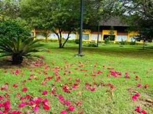 Wintervilleflat904