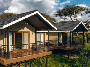 Ngorongoro Lions Paw