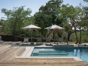 Mashatu Lodge - Mashatu Game Reserve