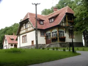 Pałac Wąsowo
