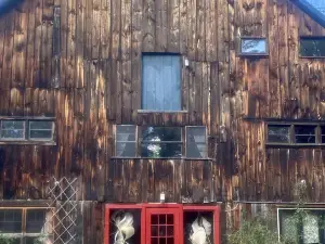 HeART Barn, 35-60 m. to skiing @ Mt. Snow, Stratton, Okemo, Magic & Bromley