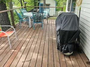 COZY Loon Lake, Vergas MN cabin! Dog Friendly! Pontoon rental available.