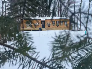 Private 3bdr cabin on Apple River kayaks, SUPS, and paddle boat. Pet friendly!