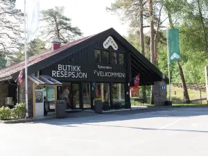 Topcamp Sjøsanden - Mandal