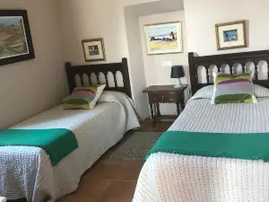 El Olivo de Sansol