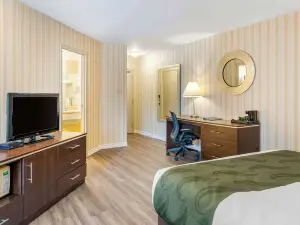 Quality Hotel & Suites