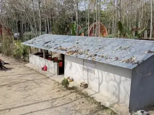 Nepal Himalayan Paulownia Resort