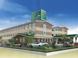 호텔 루트-인 다가조 에키 히가시