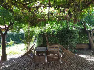 Barnet House Lamezia