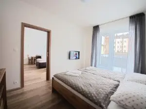 Sunny, Fully Furnished Studio Type with Terrace