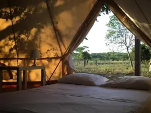 Pitahaya Glamping