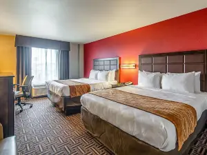 Spark by Hilton Glendive