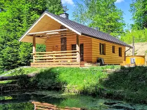 Bieszczady Domek Nad Stawem