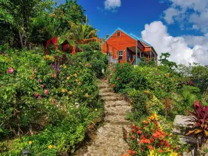 Tropical Paradise View