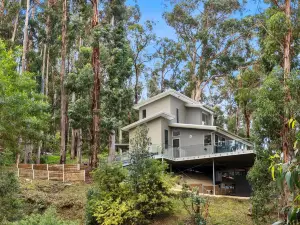 Sky High House
