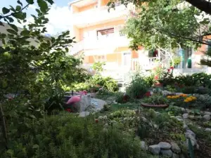Apartments Villa Flamingo