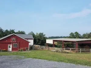Galloping Getaway on the rolling hills of GemStone Stable