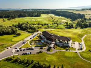 Hotel International