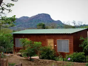 Forest Eco Lodge
