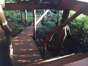 Tree Top Eco-Lodge