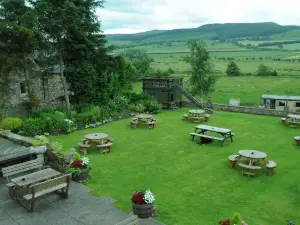 스리 휘트 헤즈