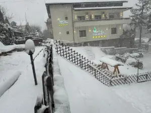 Chalet Jolie Luxury Vila Sinaia