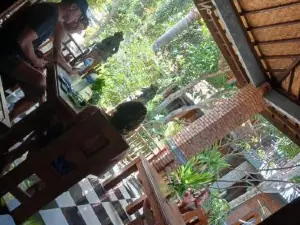 Danny juljol homestay