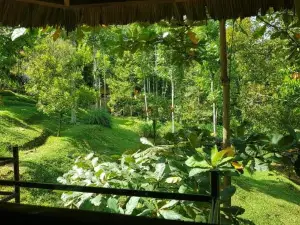 On the Rocks Bungalows, Restaurant and Jungle Trekking Tours
