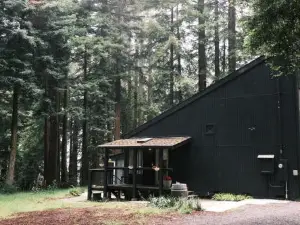 Modern House w. Fast Internet in 1 Acre Land
