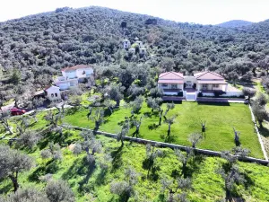 Gera's Olive Grove - Elaionas Lesvou