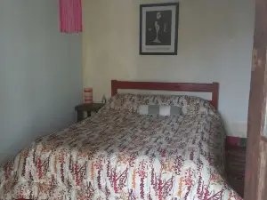 Casa del Arbol Hostel