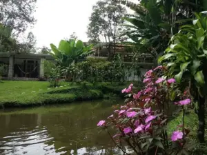 聖何塞天堂 - 青年旅社