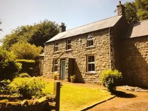 New House