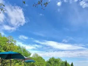 ドメーヌ ド ペシュ エ ラフォン. キャバン アヴェック スパ プリヴァティフ