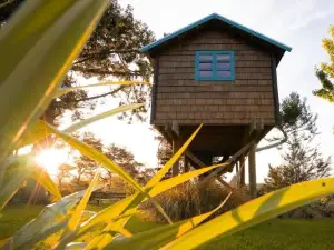 Tui Ridge Eco Cabins