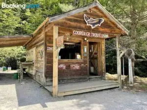 Lazy Bear Cabin Near Nantahala Outdoor Center and Bryson City