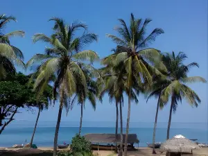 阿蘭庫達海豚鄉村酒店