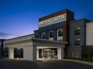 SpringHill Suites Grand Rapids Airport Southeast