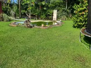 Orchid Island one bedroom Bure