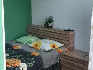 Olga Guest House