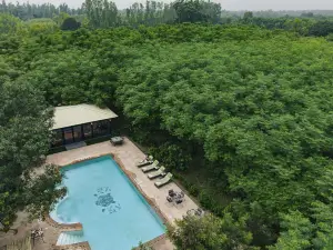 Aalia Jungle Retreat and Spa, Bandarjudh, Haridwar - Araiya Anthology